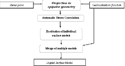 Figure 1.  Flowchart representing the DSM extraction procedure 