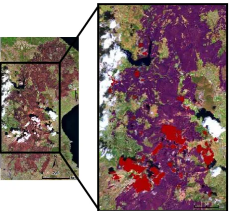 Figure 3.  Optical and radar classification of the burned areas in Greece 