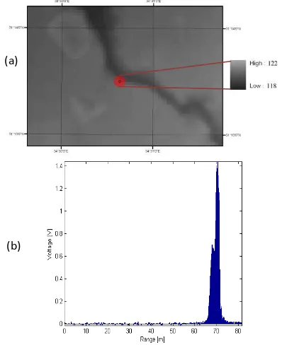 Figure 5. 3D view of DEM (a) and the waveform (b) at the location of the GLAS measurement 