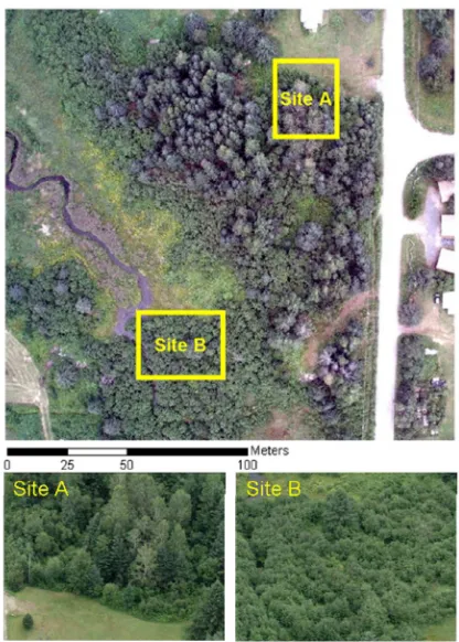 Figure 1: The true color composite imagery of the test area. Sites A and B were used to evaluate the generated DEM