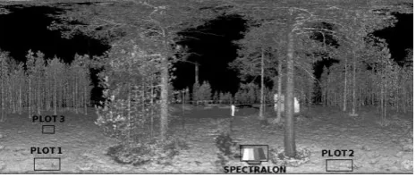 Fig. 1. Intensity image of a measurement from Tähtelä. The square plots 1, 2 and 3 are the sample plots and the Spectralon is the reference panel
