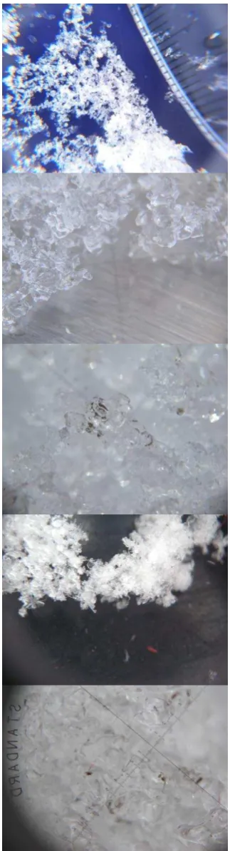 Figure 6.  The images of the snow of the following dates (top  down): 12th March 2009, 23rd, 27th, 28th, and 29th April 2009, showing the change in crystal structure in April 28