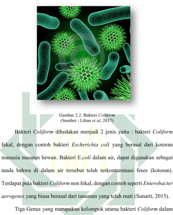 Gambar 2.2. Bakteri Coliform  (Sumber : Lihan et al, 2017) 