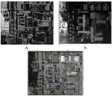 Figure 3: Raster Image of the Original LiDAR Intensity Data  