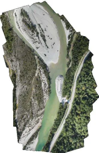 Figure 12 Orthomosaic of Alpine river environment 