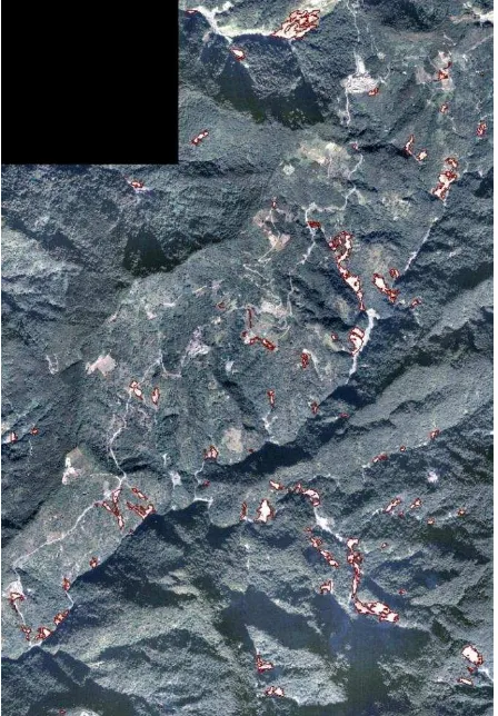 Figure 5. Landslide detection results (red) overlaid on the used  aerial image taken before Typhoon Morakot