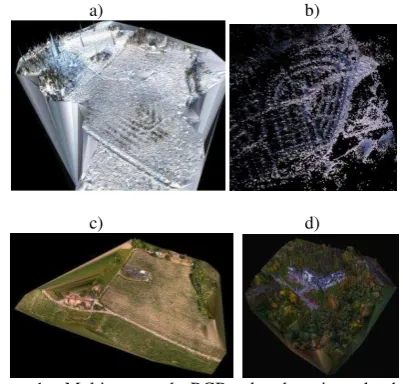 Figure 1. Multi-temporal RGB-colored point clouds by Photosynth: a) Sjo1602Nik, b) Mas2402gr3, c) Sjo2406gf1 and d) Mas3009gr3