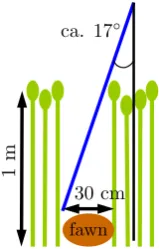 Figure 2: geometric boundary conditions
