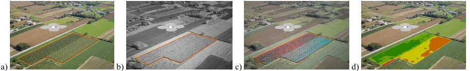 Figure 7: The studied wine yard area (a), seen in the NIR domain (b), with false colors (c) and the estimated NDVI index (d)