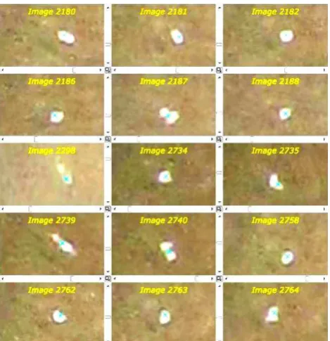 Figure 6: Ground control point #119 as imaged in some of the tied images.  