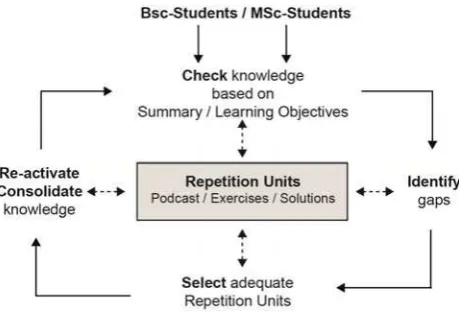 Figure 3.  “Study cycle” of the Repetition Units 