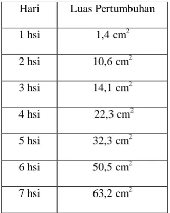 Tabel 2. Luas Pertumbuhan Biakan Colletotrichum gloeosporioides  