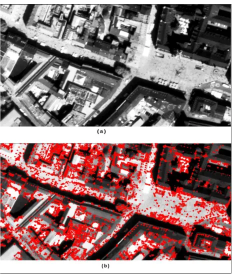 Figure 3:(a) Road-like pixels which are segmented fromMunich1 test image, (b) Automatically extracted shadow pix-els from Munich1 test image.
