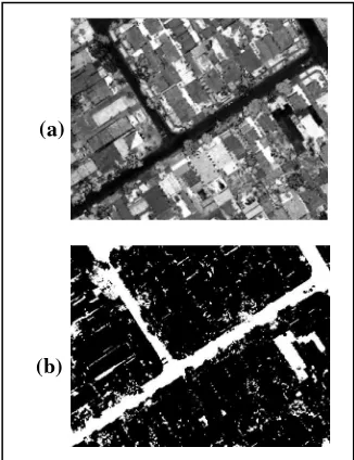 Figure 9. (a) Intensity image (b) Street regions detected by  histogram thresholding. 