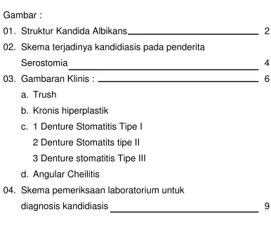 Gambar : 01. Struktur Kandida Albikans 