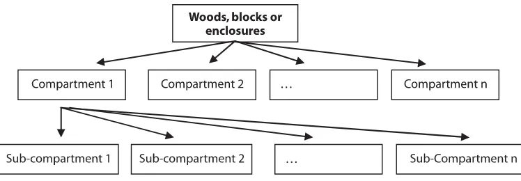 Figure 3. Organization of a forest