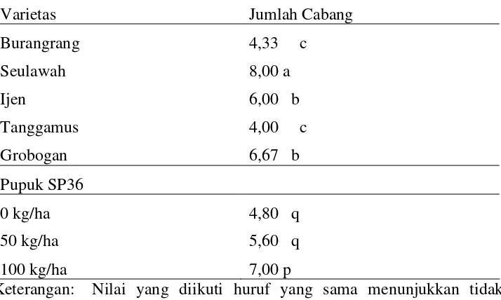 Tabel 8. Pengaruh varietas dan dosis pupuk SP36 terhadap jumlah cabang 