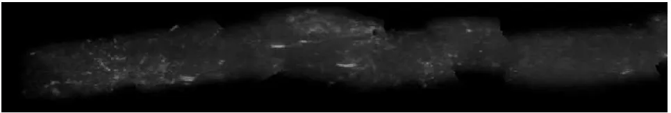 Figure 7: One frame of a typical underwater video 