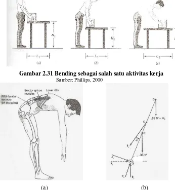 Gambar 2.32 (a) Kondisi punggung ketika melakukan bending, (b) Free body  diagram untuk bending                Sumber: Phillips, 2000 