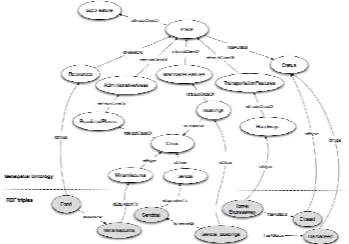 Figure 8. Geo-visualization of GeoSPARQL results  