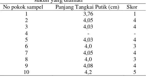 Tabel 5.16 Warna style-stygma bunga tanaman durian sukun yang diamati 