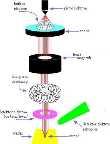 Gambar 10. Skema kerja SEM 