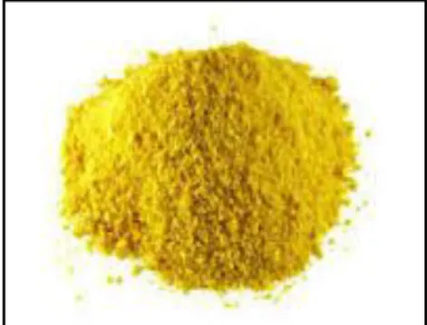 Gambar 1. Warna metanil yellow 
