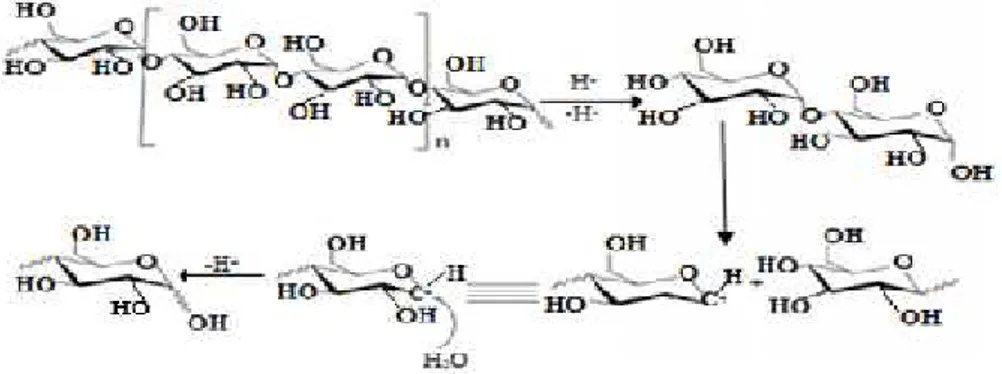 Gambar 3. Mekanisme hidrolisis asam (Yue et al., 2007).