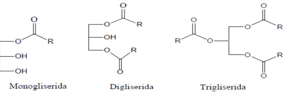 Gambar 2.  Reaksi hidrolisis 