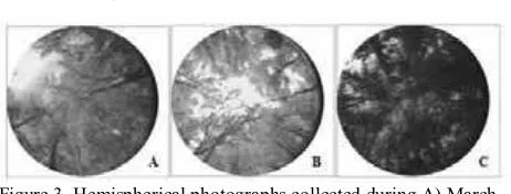 Figure 3. Hemispherical photographs collected during A) March, B) July and C) October of Sal in KNP