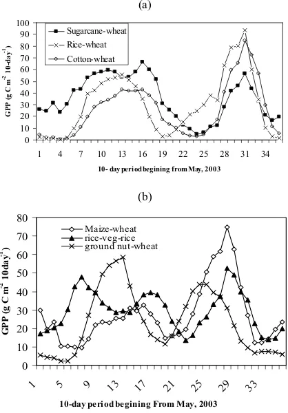Fig. 2 Temporal variation in GPP over major cropping during 2003-04 growing season in  India 
