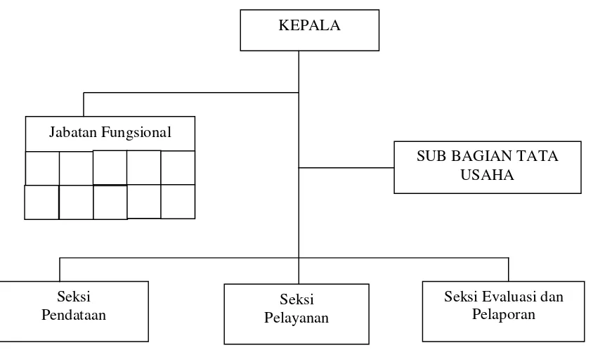 Gambar 3.2. Bagan strukturorganisasi BKKBN setelah berubah menjadi 