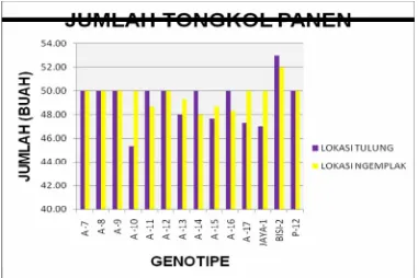 Gambar  4.4  Diagram batang rata-rata jumlah tongkol panen genotipe jagung hibrida yang diuji