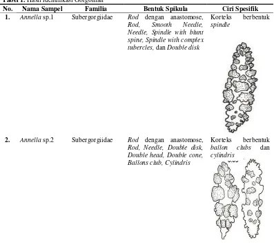 Tabel 1. Hasil identifikasi Gorgonian  