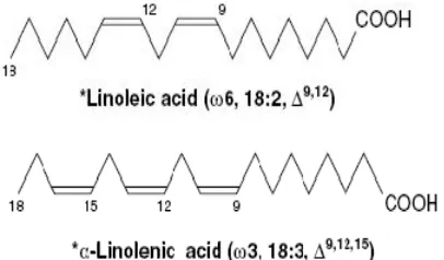 Gambar 2. Struktur asam linoleat dan asam linolenat (Botham dan Mayes, 2003c) 