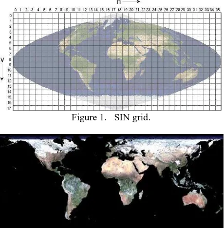 Figure 1.   SIN grid. 