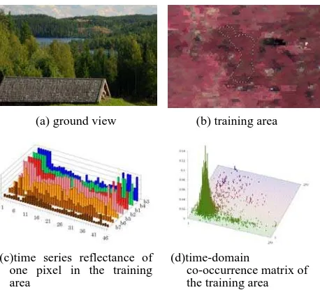 Figure 4.  Training data example for "evergreen needleleaf                 forest". 