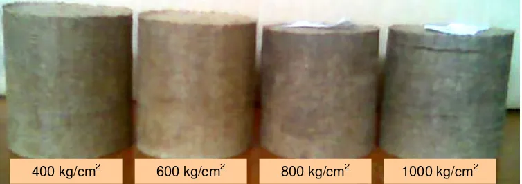 Gambar 4.2. Briket jerami padi yang ditambah 40% kayu kalimantan merbau setelah mengalami relaksasi selama satu minggu  