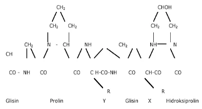 Gambar 2.  Struktur kimia dari Gelatin[7]