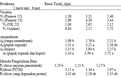 Tabel 7.  Rasio Tajuk/ Akar Jagung pada Perlakuan Varietas, Amandemen dan Metode Pengelolaan Hara pada Umur 2, 4 dan 6 MST 