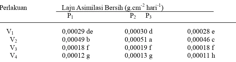 Tabel 11. Varietas dan Amandemen terhadap Laju Asimilasi Bersih (g.cm-2 hari-1) Jagung Pengamatan 4 – 6 MST 