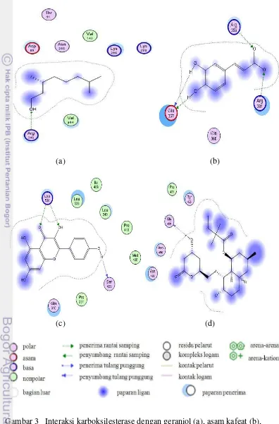 Gambar 3   Interaksi karboksilesterase dengan geraniol (a), asam kafeat (b), 
