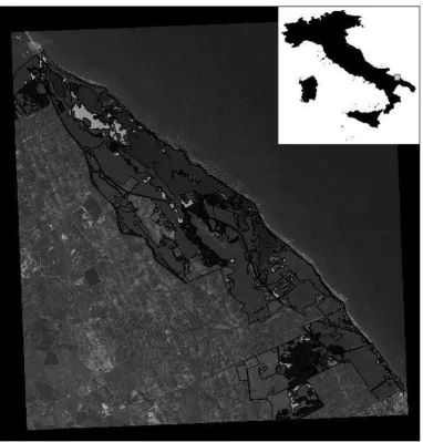 Figure 1: LPH/MPH and TPH habitats in Le Cesine protected site.
