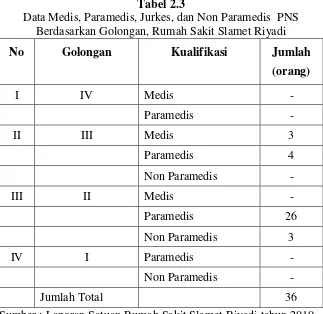Tabel 2.3 Data Medis, Paramedis, Jurkes, dan Non Paramedis  PNS 
