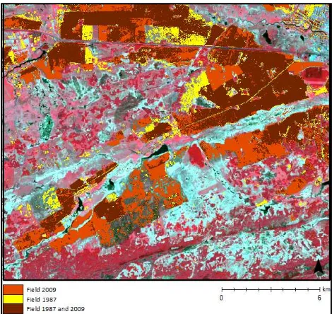 Figure 7  Acquisition of land use changes with remote sensing data in the SASCHA project  