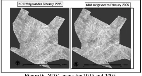 Figure 9:  NDVI maps for 1995 and 2005. 