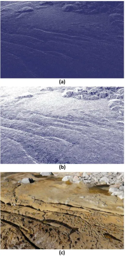 Figure 1: Examples of aerial images captured from the kite-basedimaging platform (taken from approximately 15m altitude).