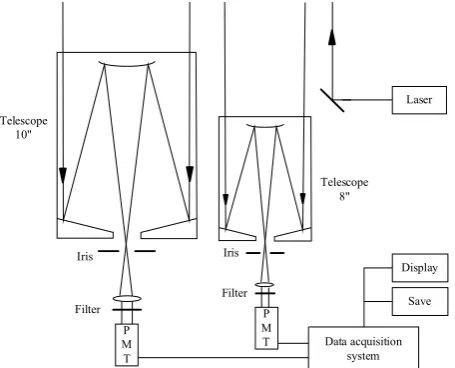Fig. 1. The schematic diagram of the DFL system. 