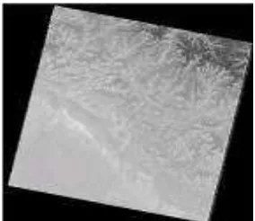 Figure 1. Landsat TM5, 1990  Band 6 image of study area 