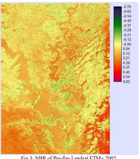 Fig.3: NBR of Pre-fire Landsat ETM+ 2002 